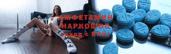 прущие грибы Абаза