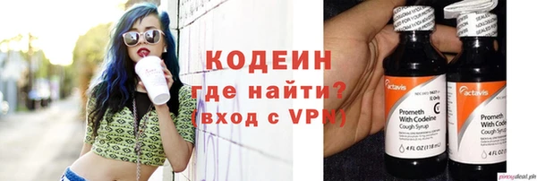 прущие грибы Абаза
