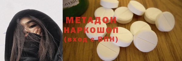 прущие грибы Абаза