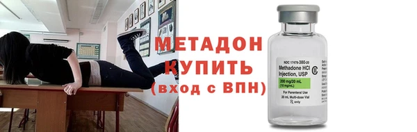прущие грибы Абаза