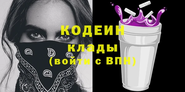 прущие грибы Абаза