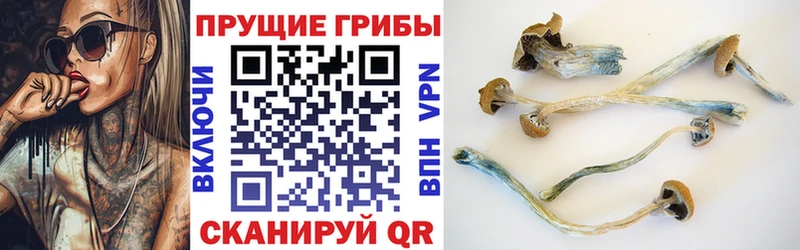 Псилоцибиновые грибы Magic Shrooms  Чкаловск 